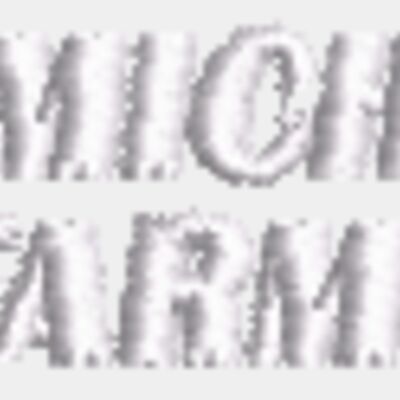 MIFB Logos Thumbnail